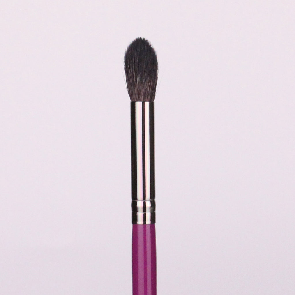 BB24 large blending brush